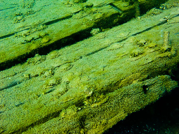 Tobermory Wreck diving King/Newaygo