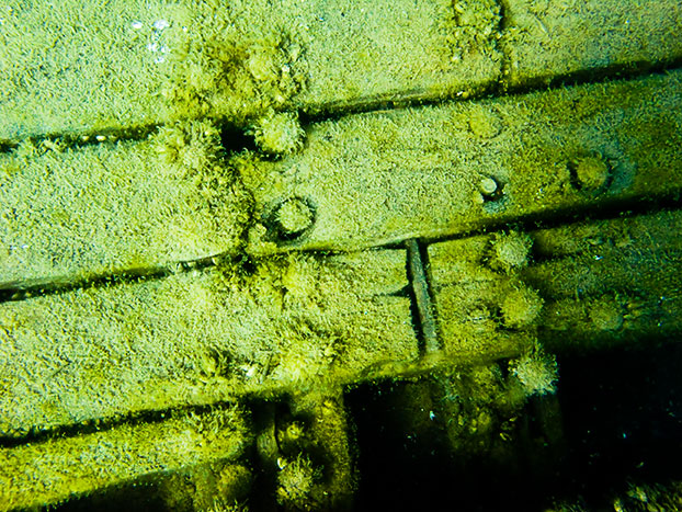 Tobermory Wreck diving King/Newaygo