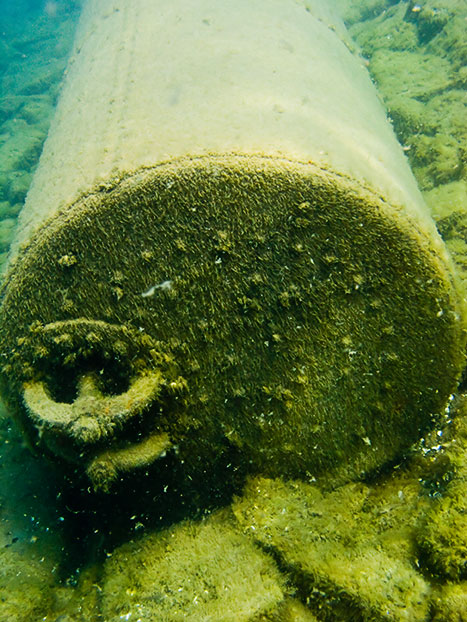 Tobermory Wreck diving King/Newaygo