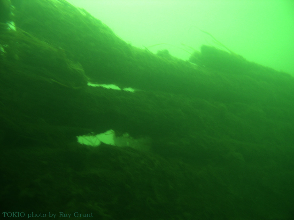 TOKIO wreck in the St. Clair River