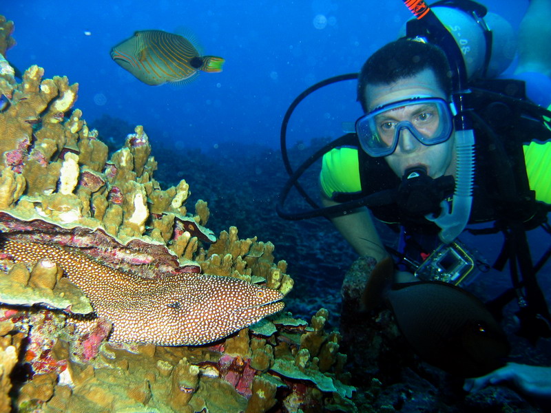 Tony & White Mouth Moray