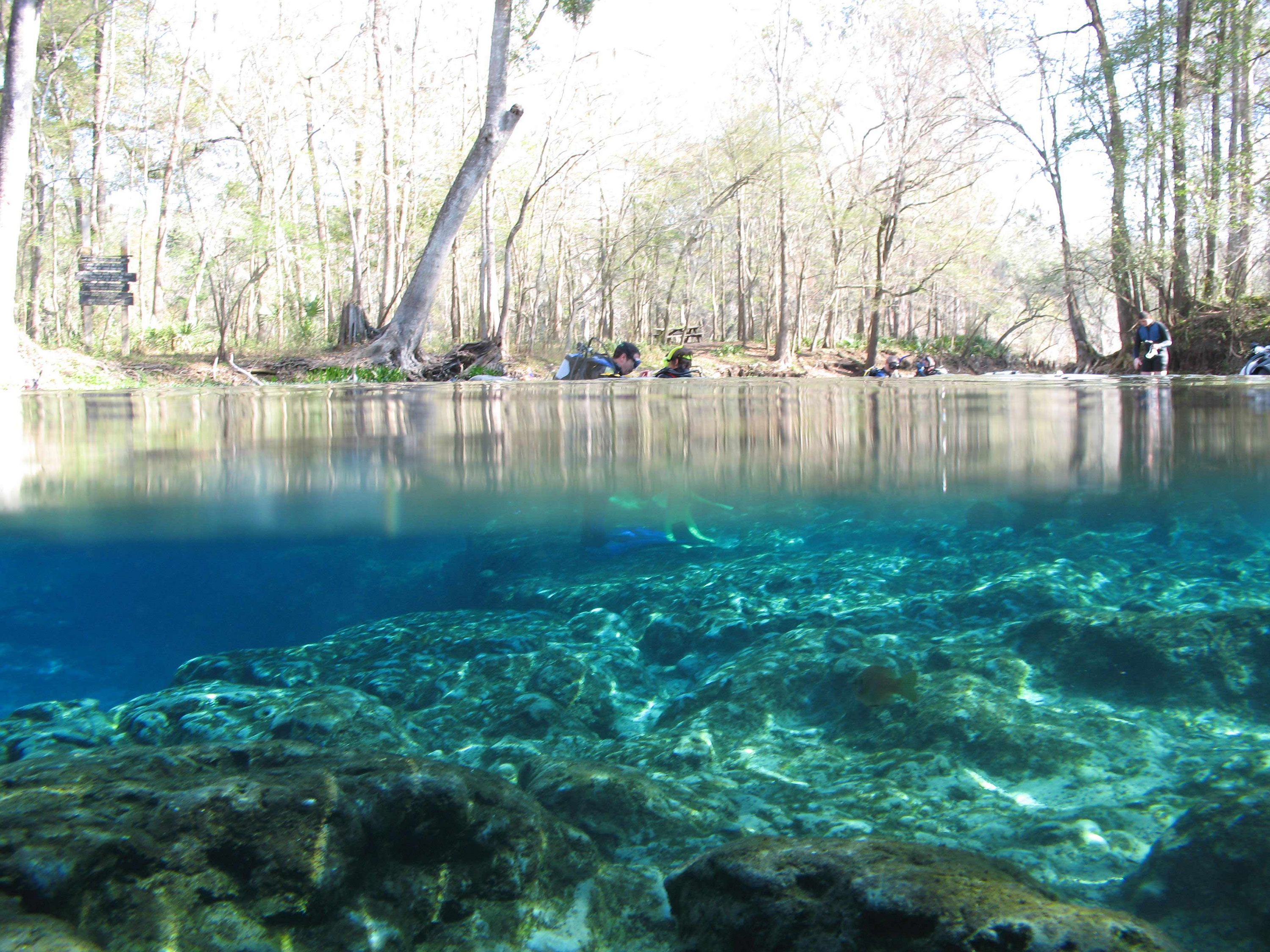 Topside at Ginnie Springs