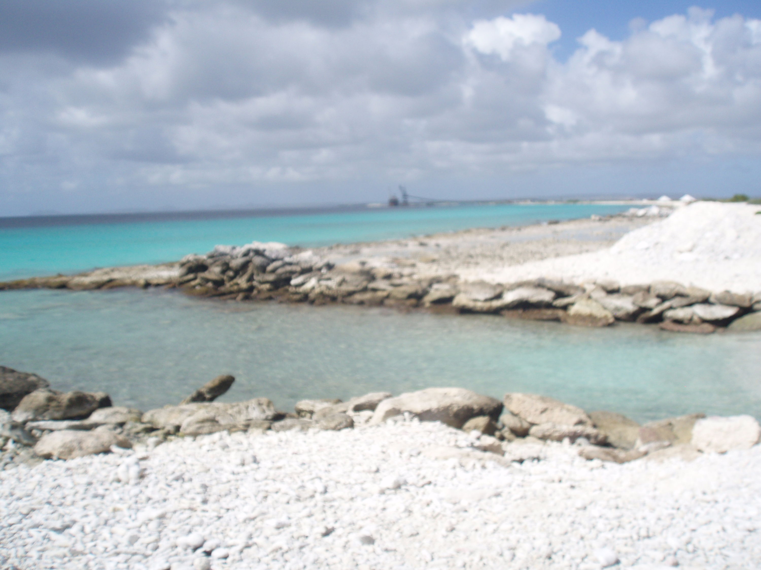 Tori's Reef Entrance