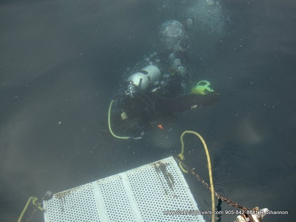 Toronto Scuba Oakville Divers