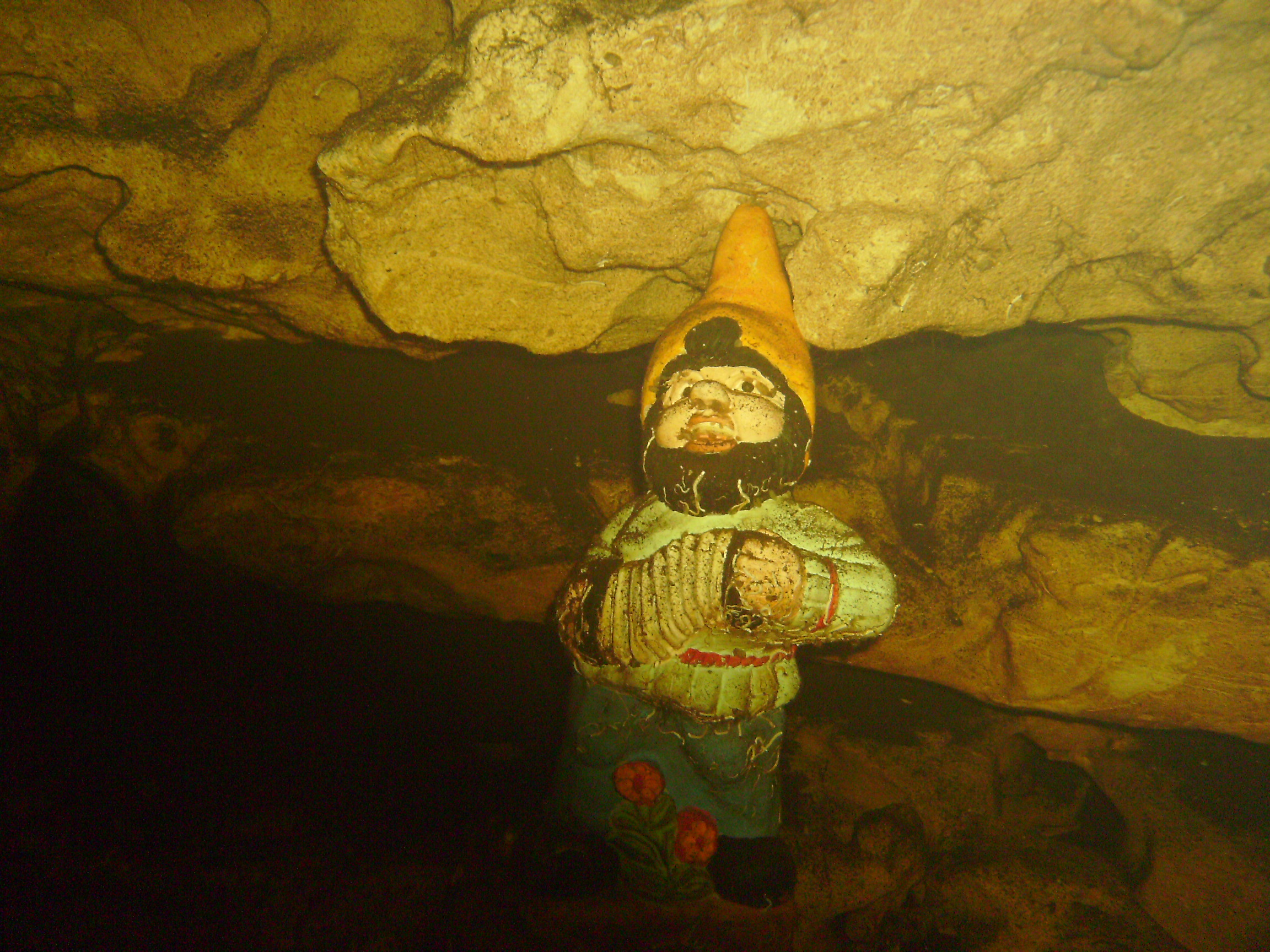 Travel Gnome?