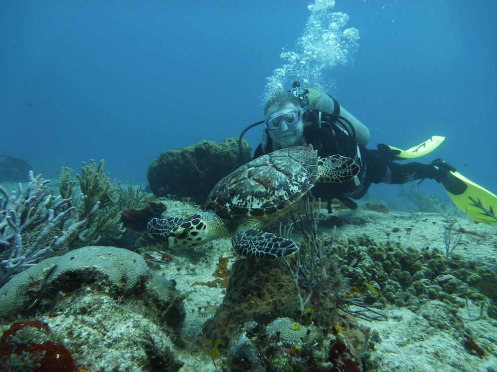 Turtle @ Punta Tunich Taken by Mona {Monkey}-Scuba Mau