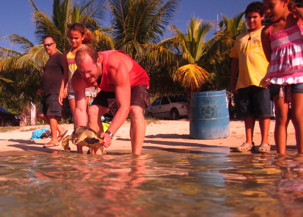 Turtles rescued from a restaurant in the Jonesville French Cay area on Augu