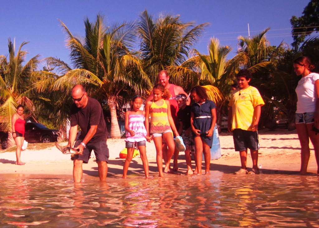 Turtles rescued from a restaurant in the Jonesville French Cay area on Augu