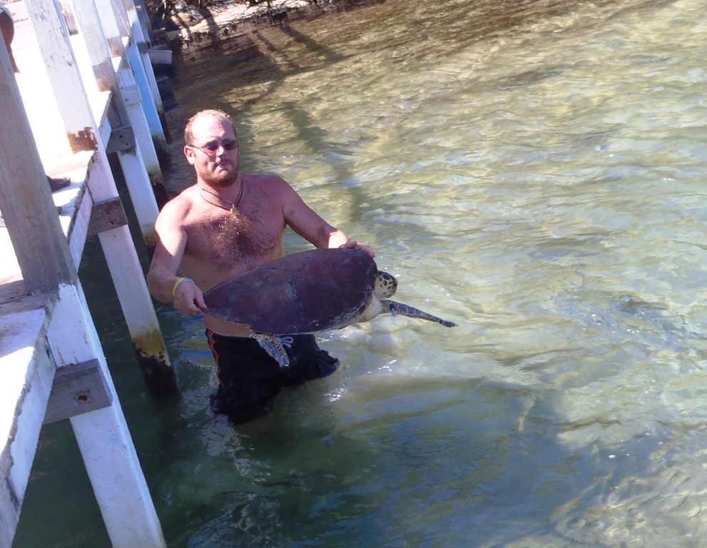 Turtles rescued from a restaurant in the Jonesville French Cay area on Augu