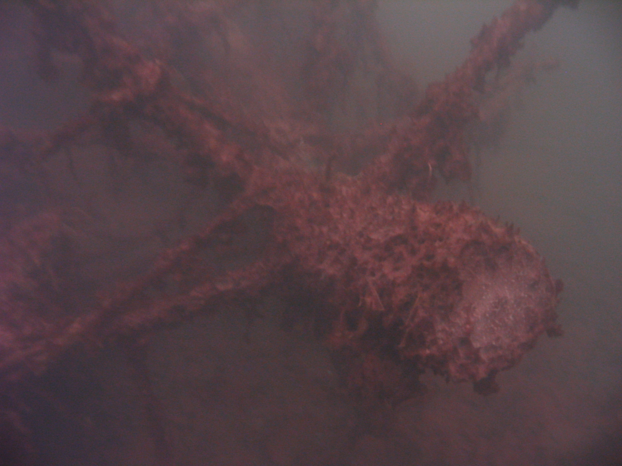 Twin Quarry