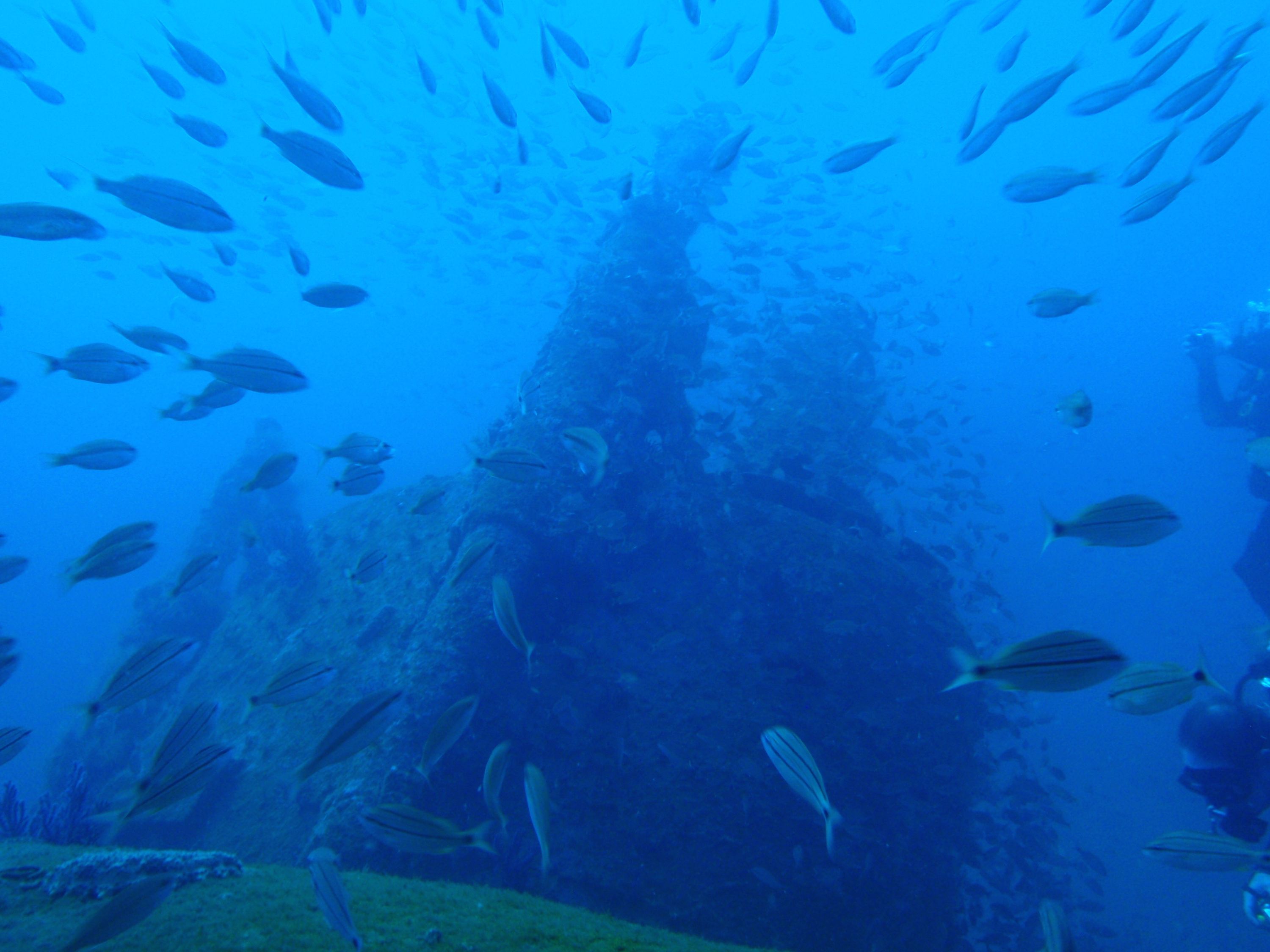 U-352 June 2009