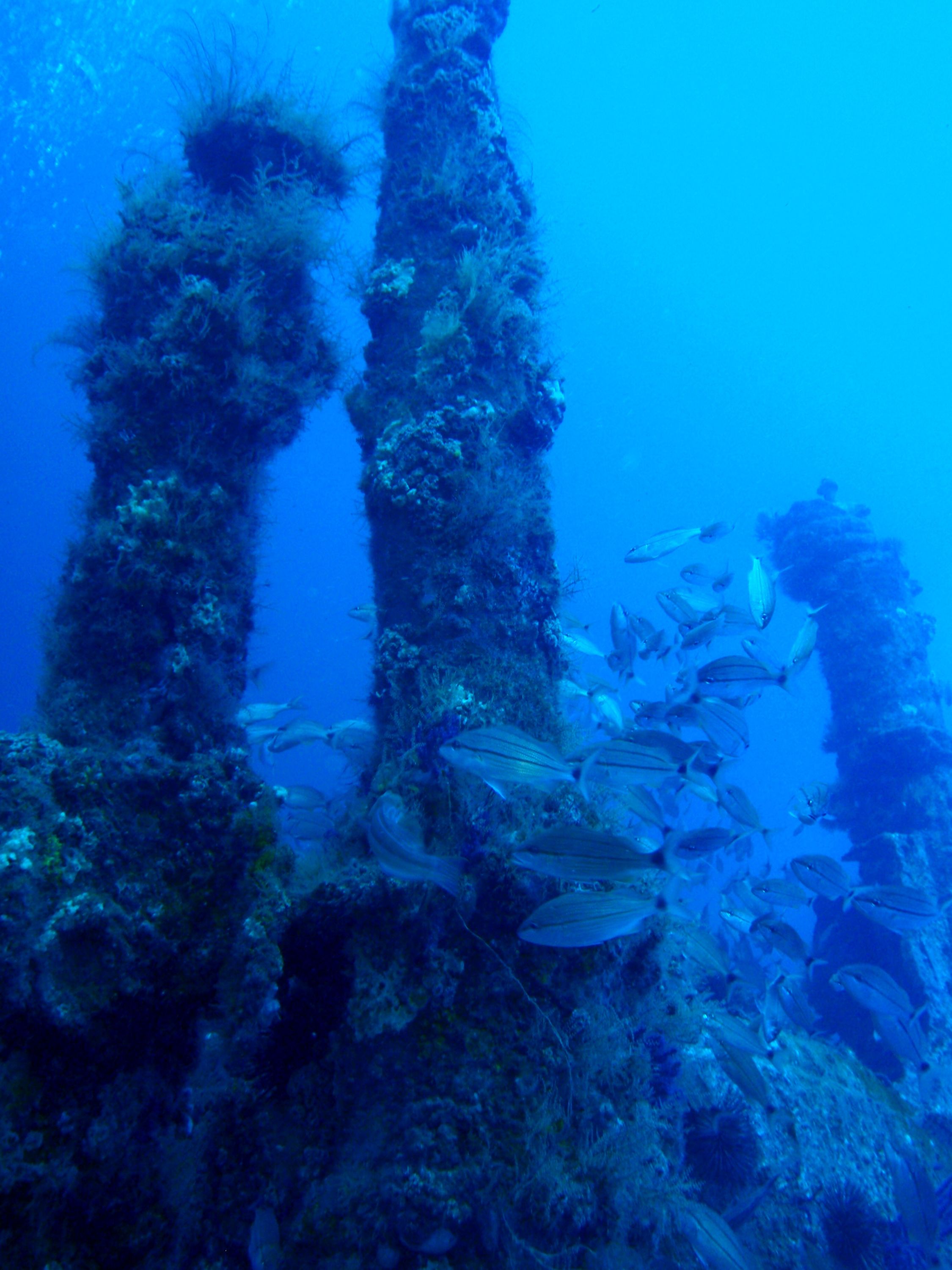 U-352 June 2009