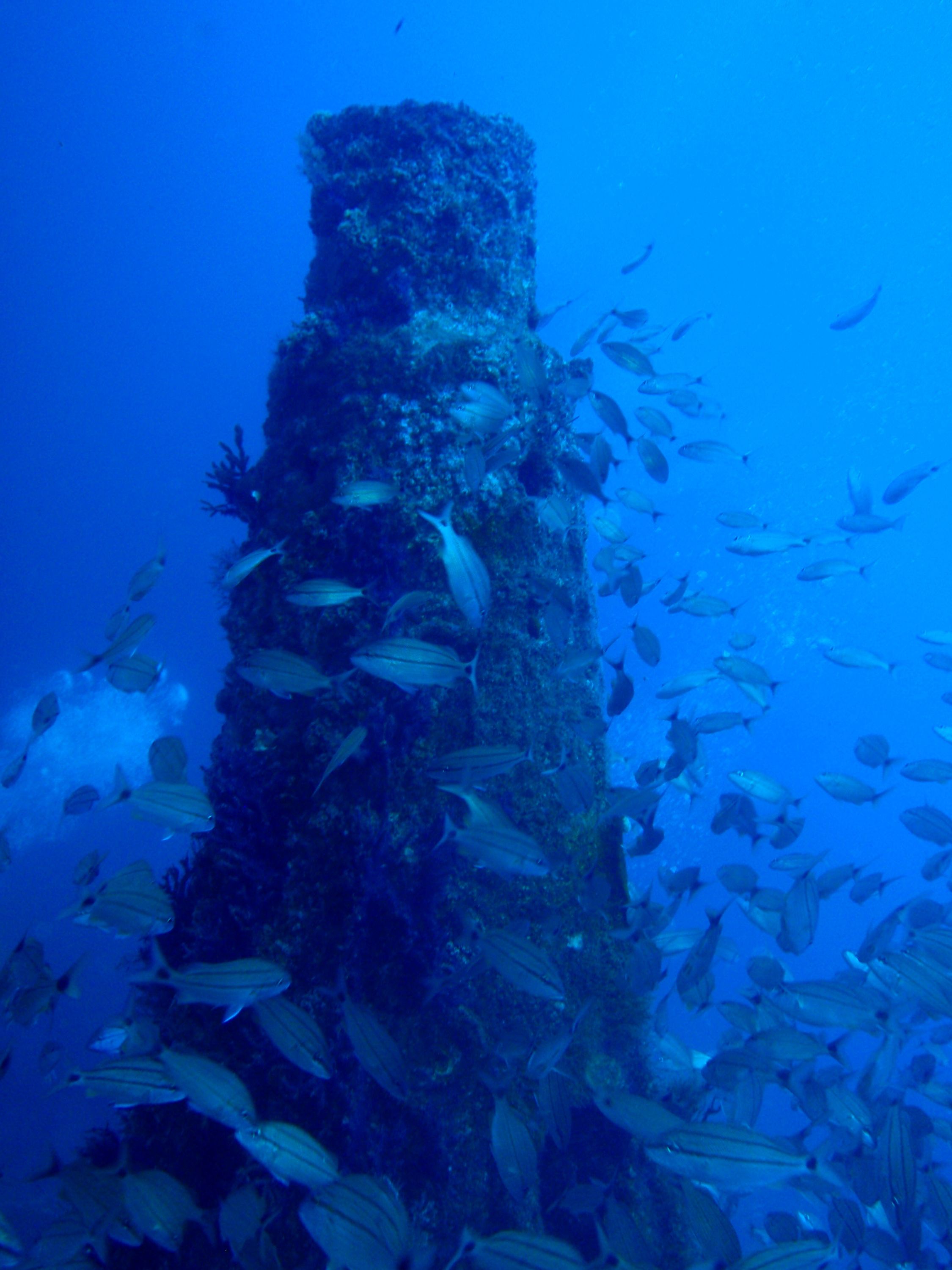 U-352 June 2009