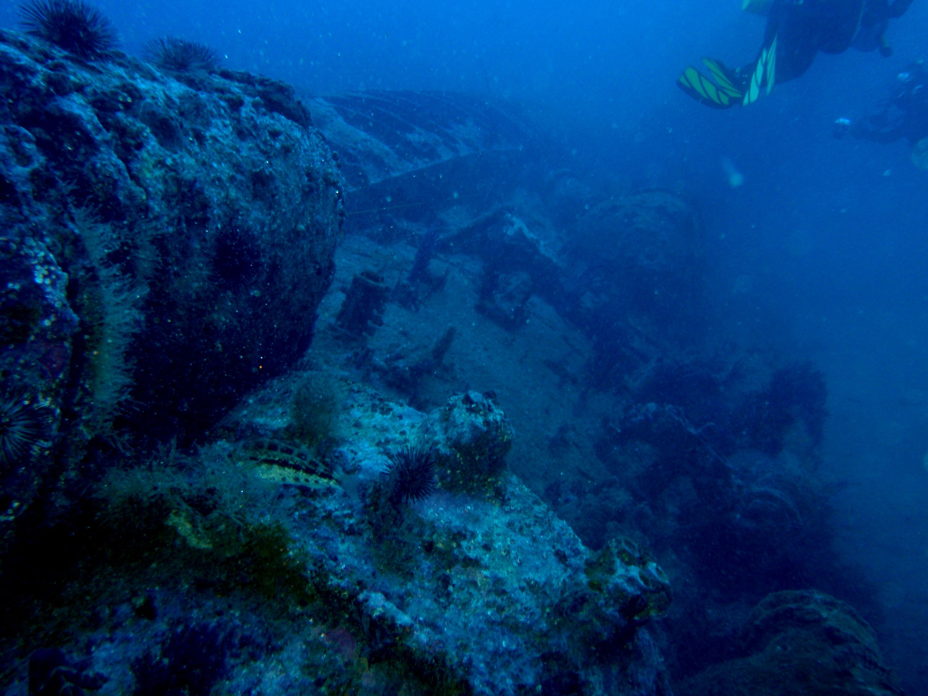 U-352 June 2009