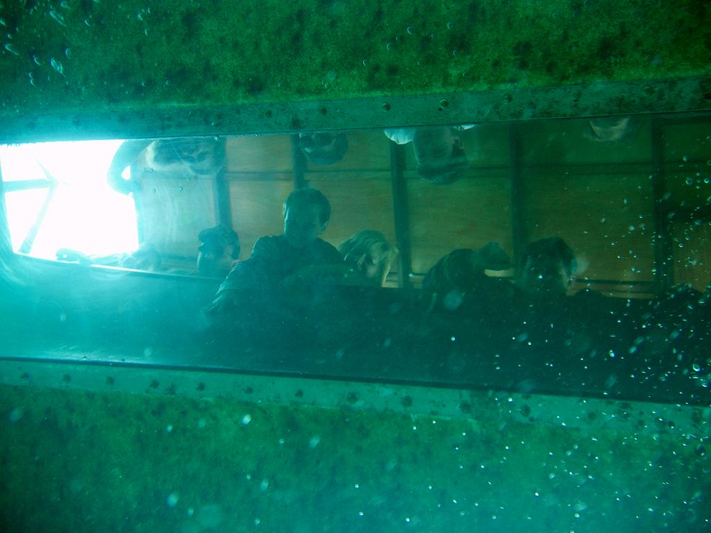 Under a Glass Bottom Boat