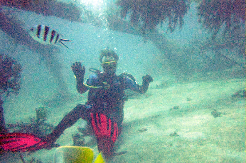 Under a structure intended to stimulate the growth of reefs