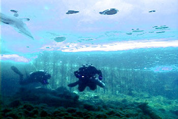 Under the ice in Rockport