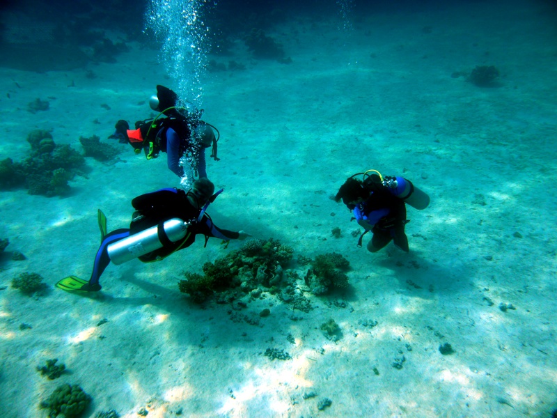 Underwater Geologists