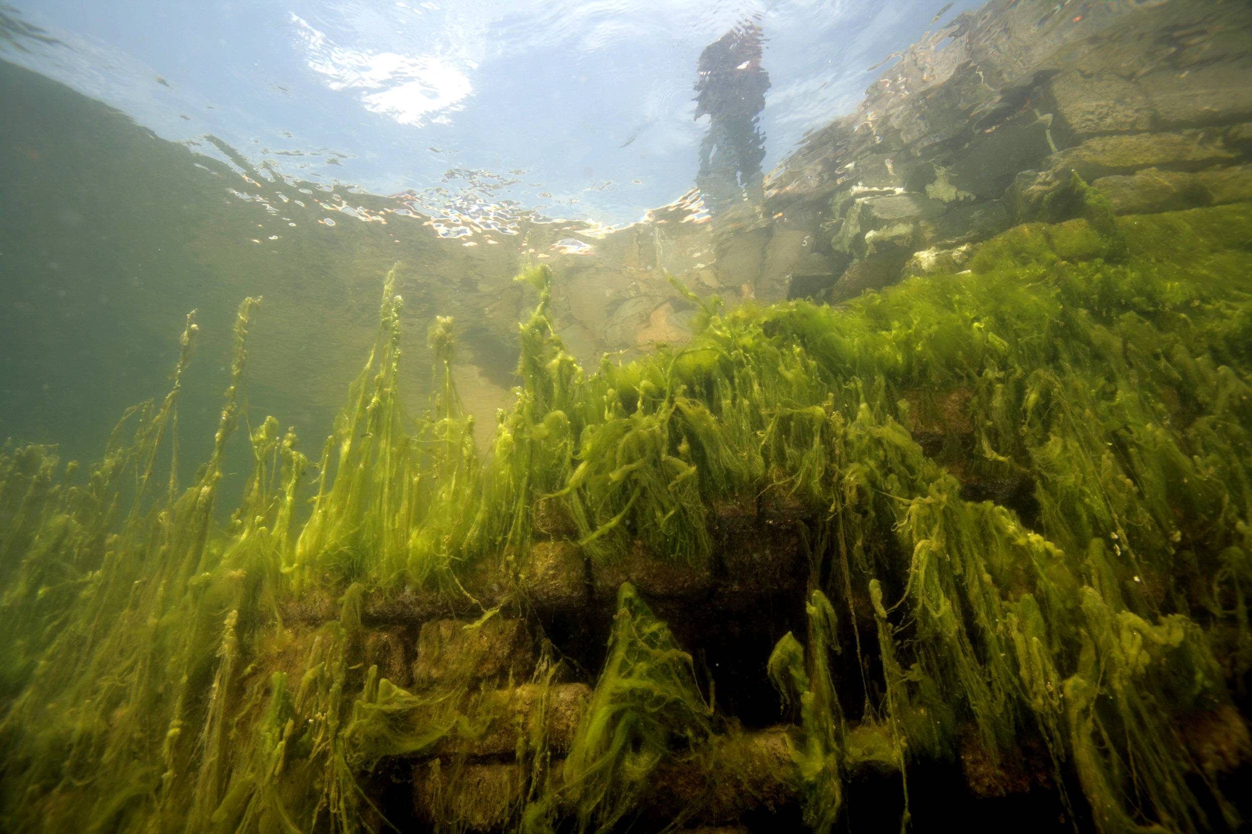 Underwater Great Wall