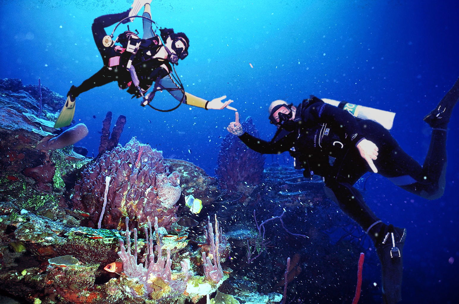 Underwater Interpretive Dancers