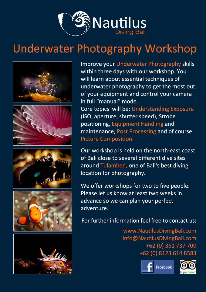 Underwater phiotography workshop