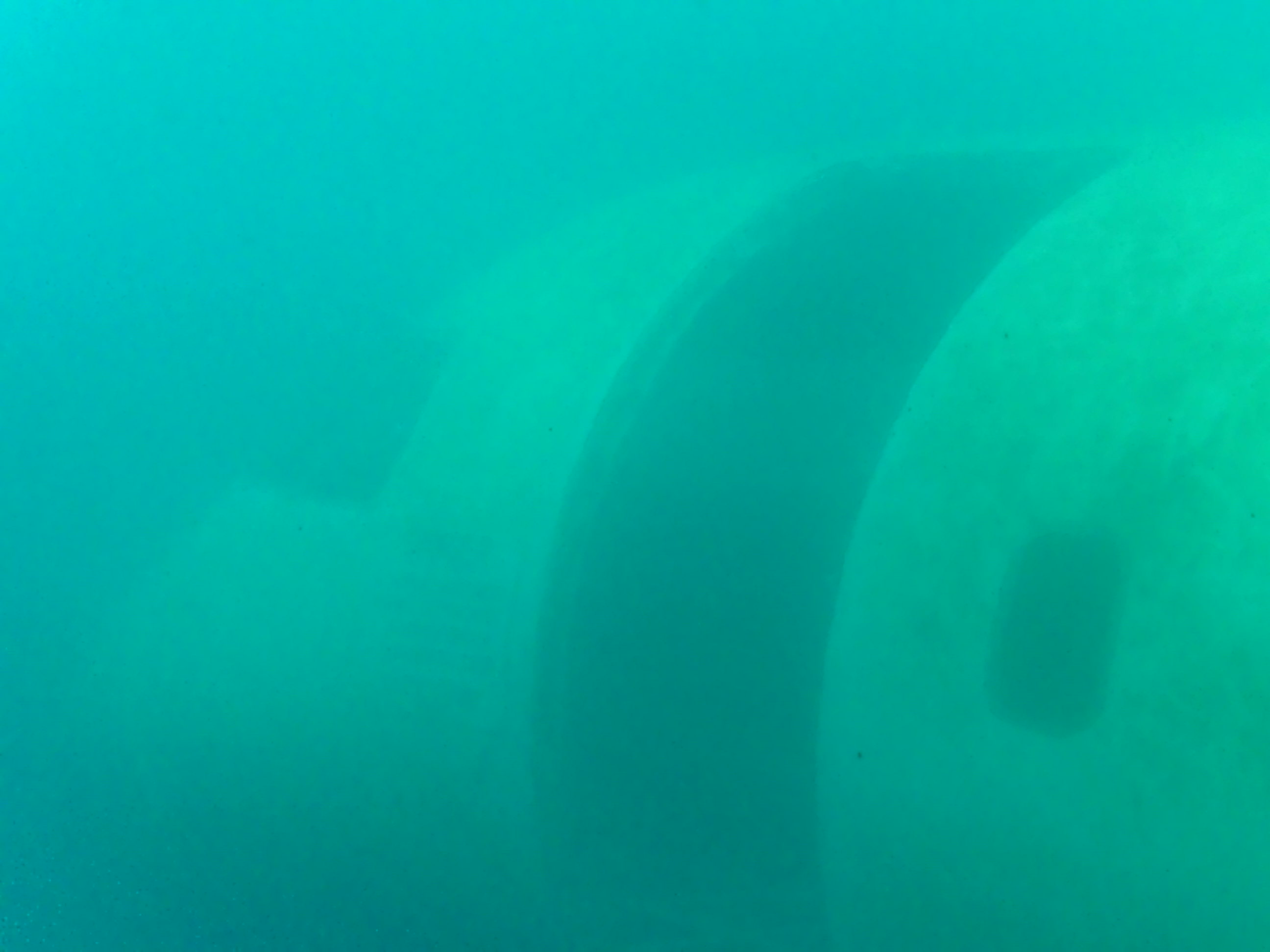 Underwater Plane at Dutch Springs