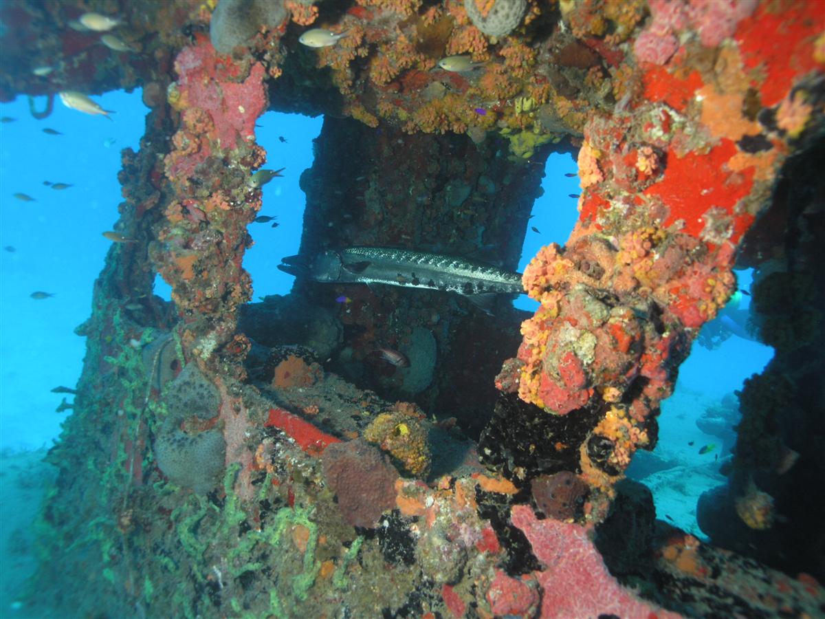 Underwater Saba and Statia shots