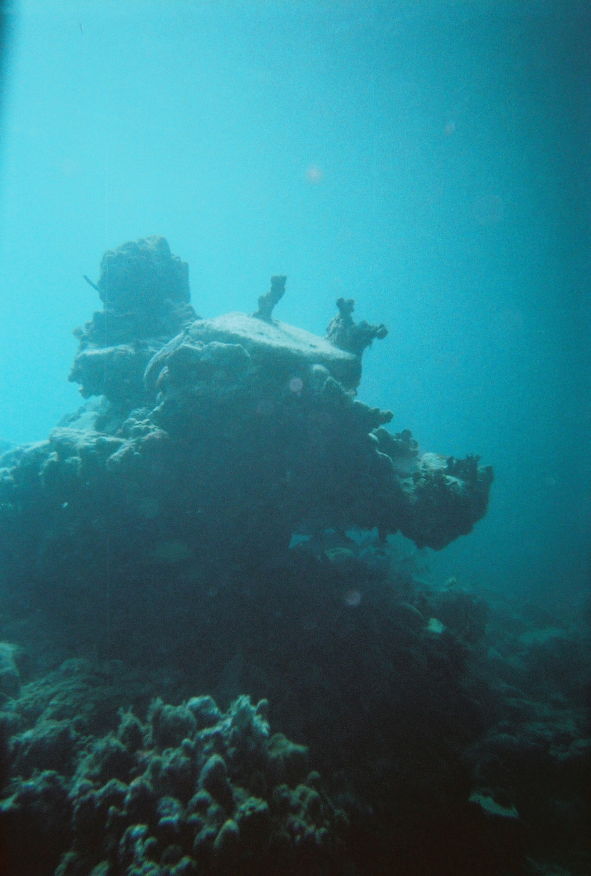 Underwater Scenary