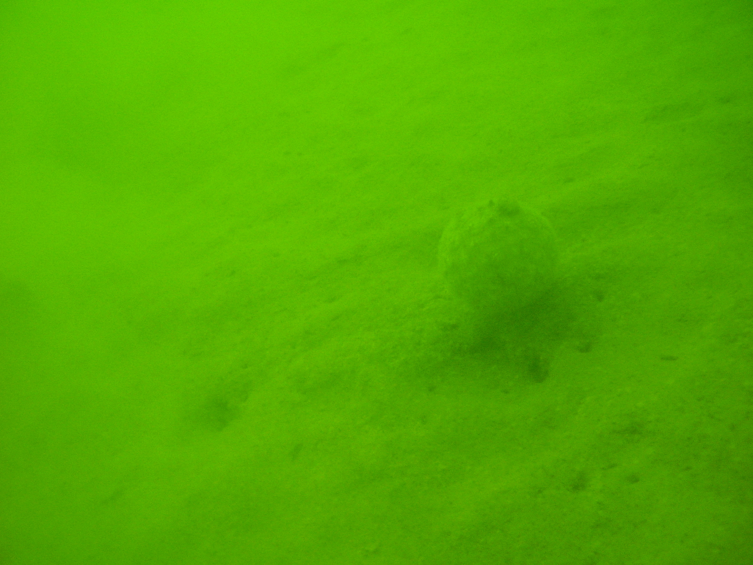 Unknown Sphere in Lake Lanier Georgia
