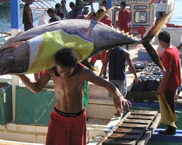 Unloading the catch