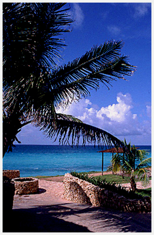 Varadero beach. Cuba