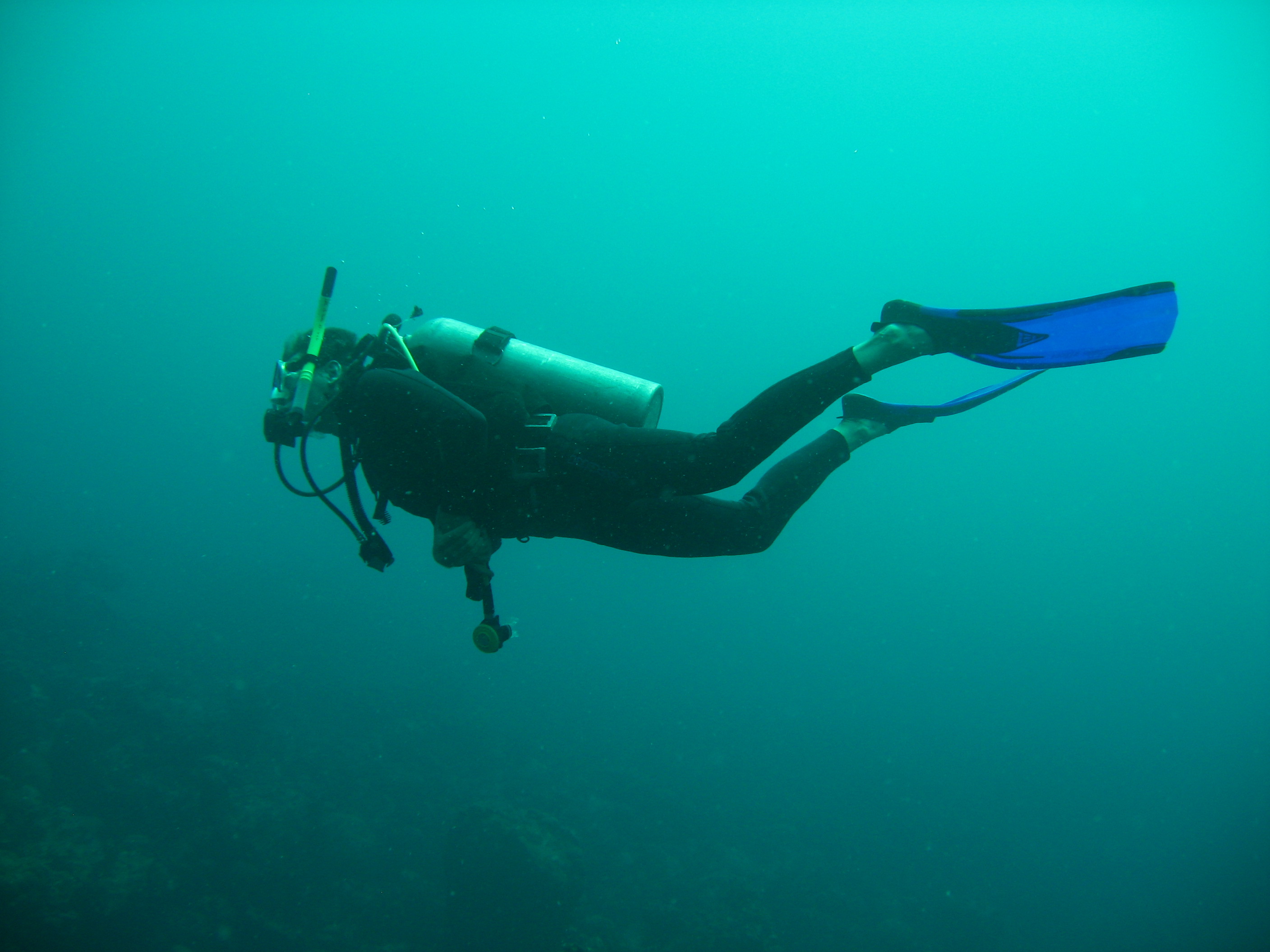 Veracruz Reefs