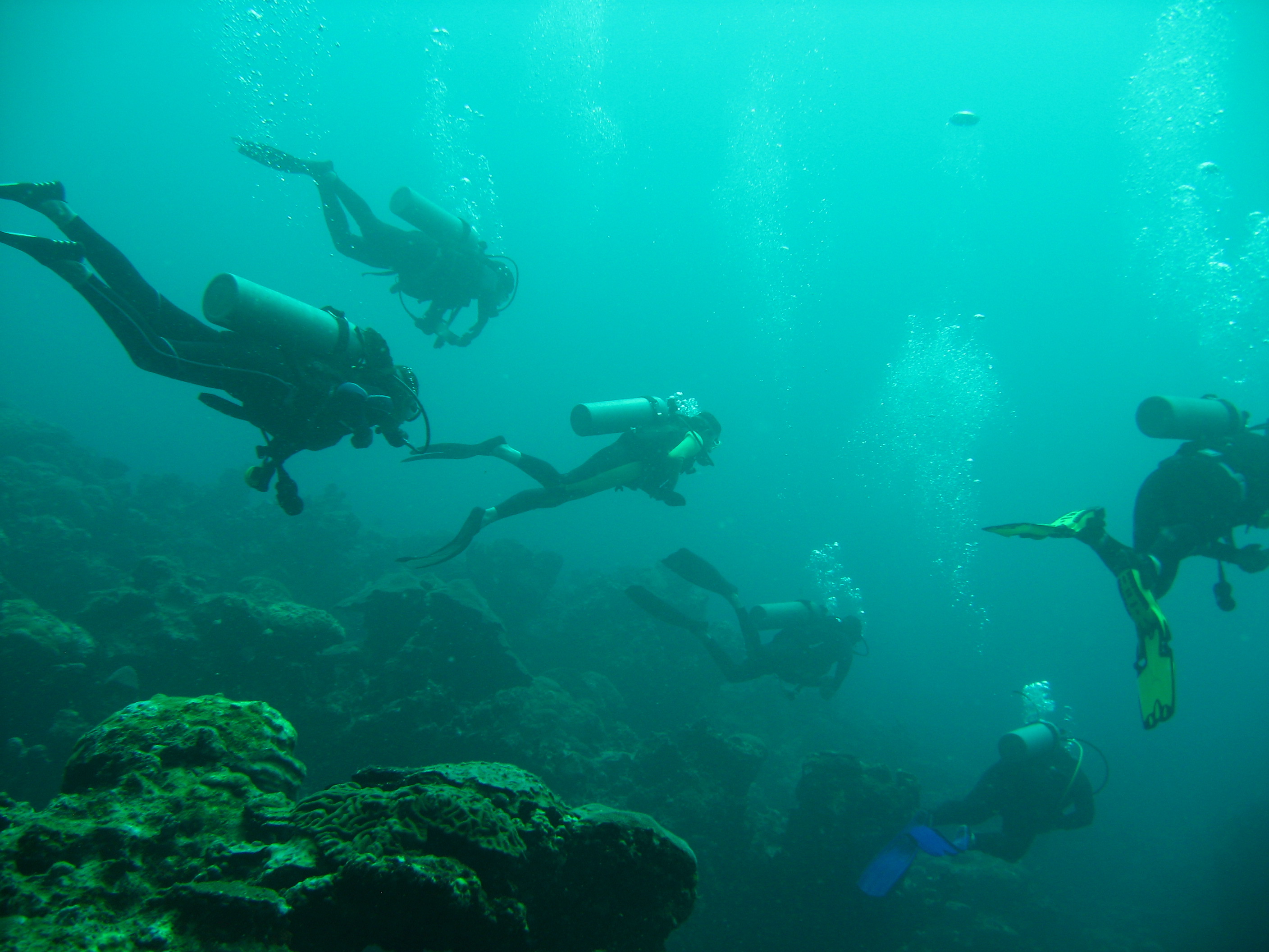 Veracruz Reefs