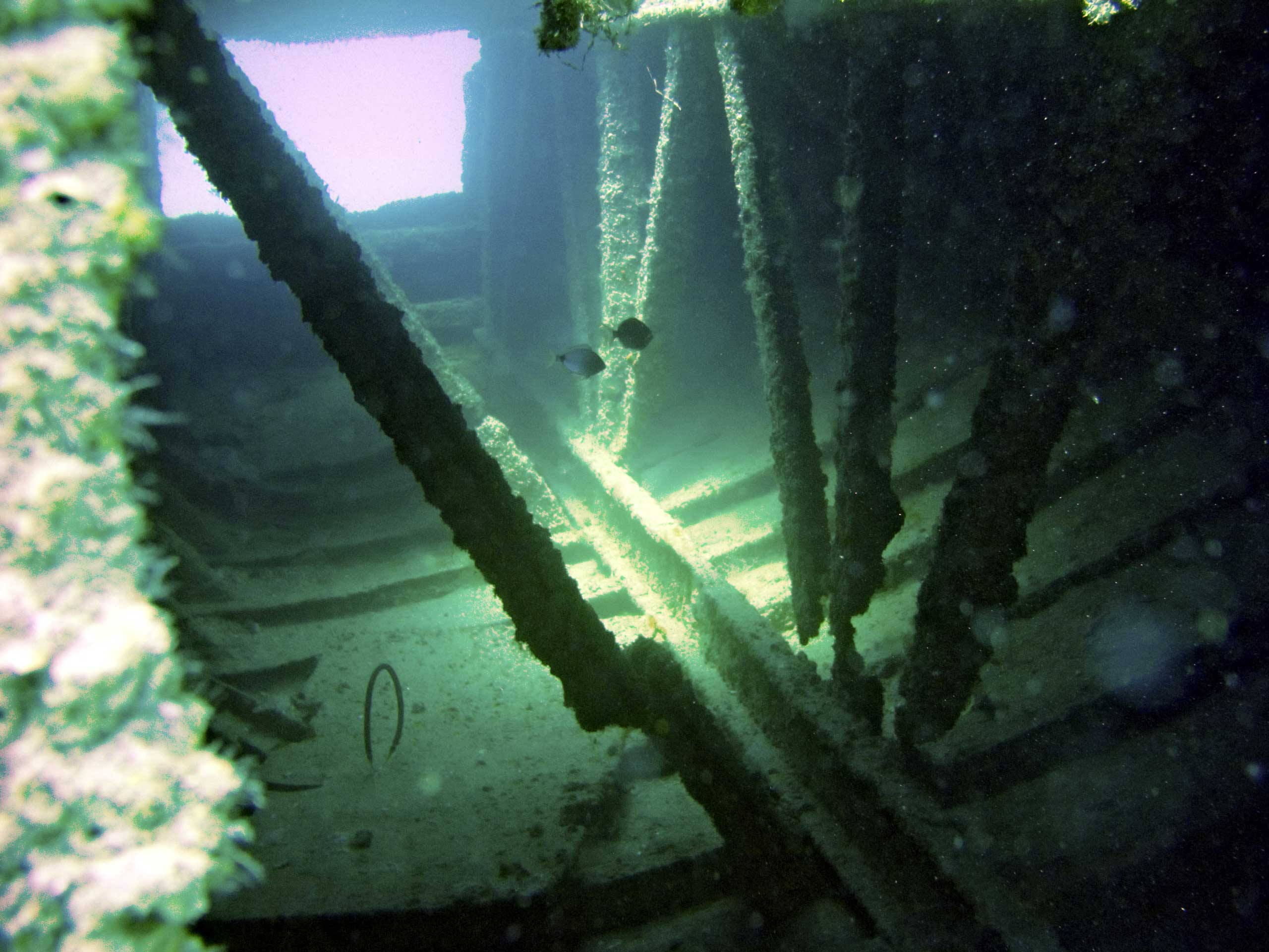 Veterans reef, Pinellas county Florida, Barges 4/2006