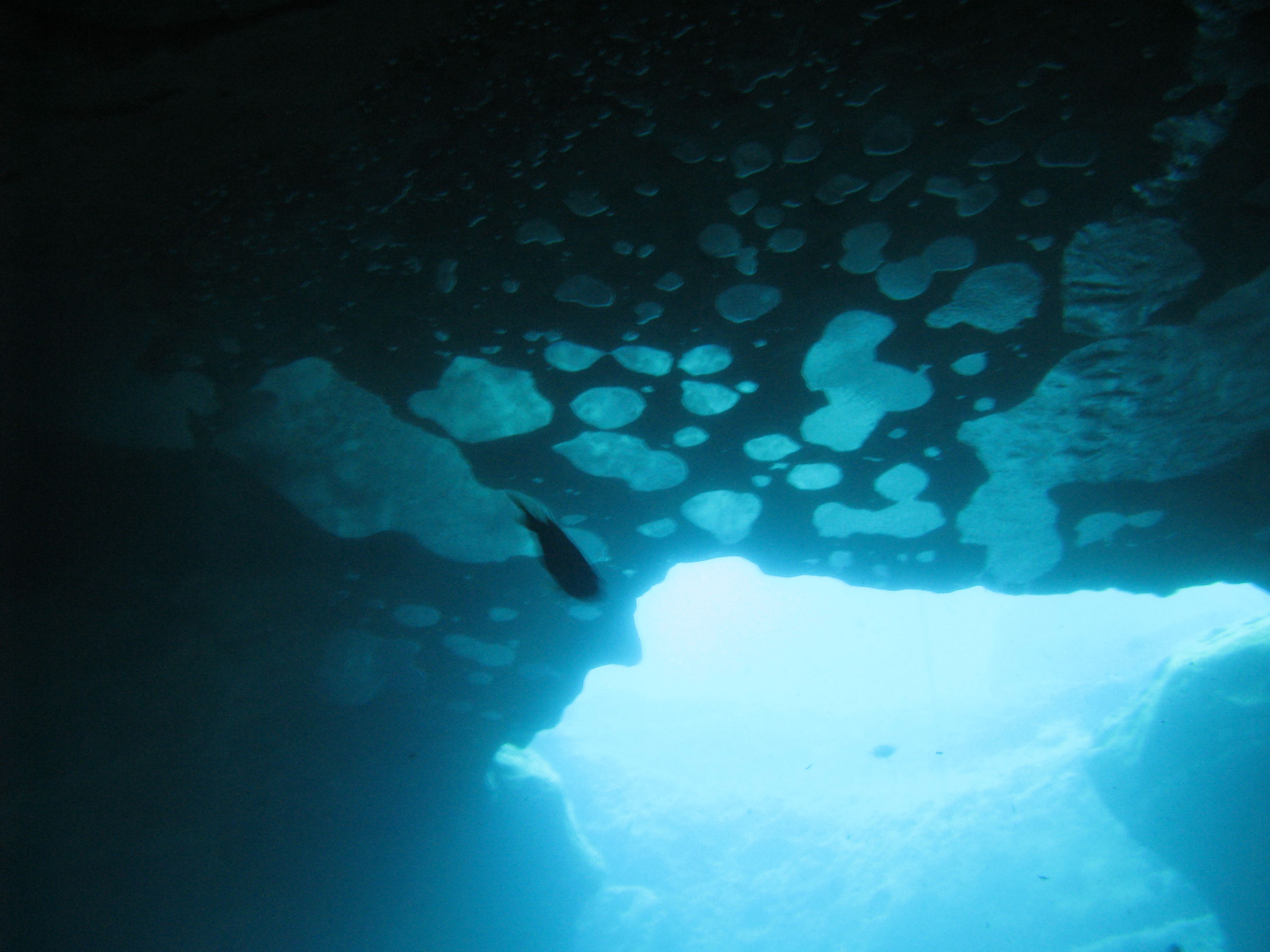 vortex cavern roof