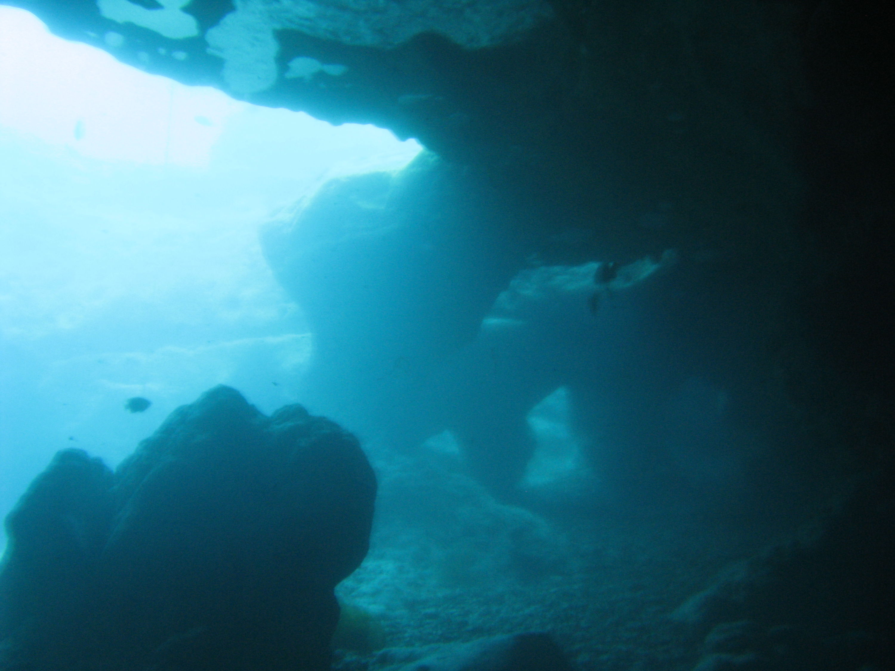 vortex springs cavern