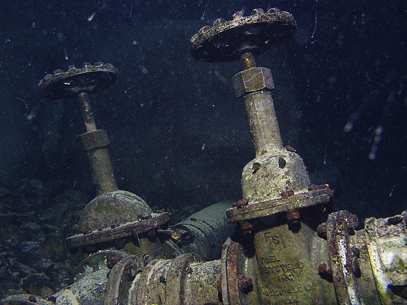 Vortex Springs night dive