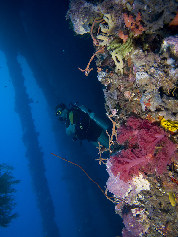 WAdiverPhilippines2008_diver_WP