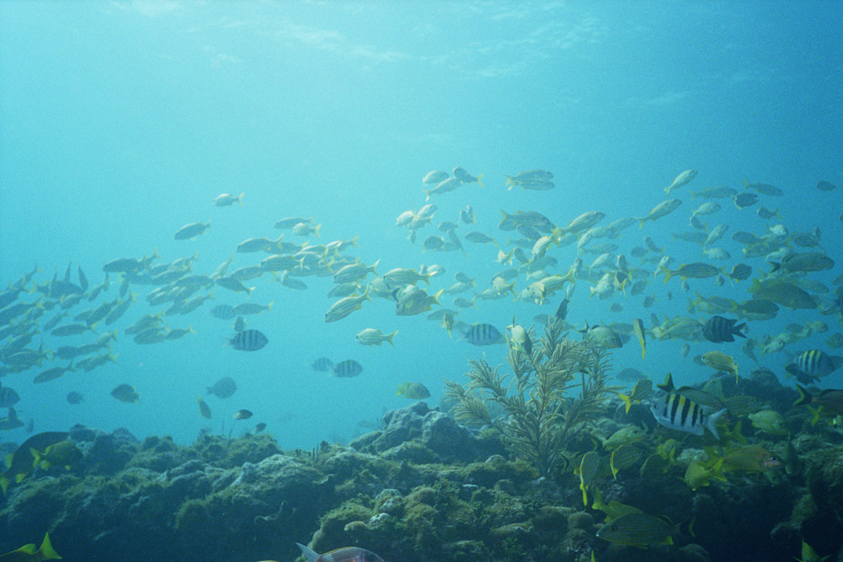 Water was pretty clear this morning