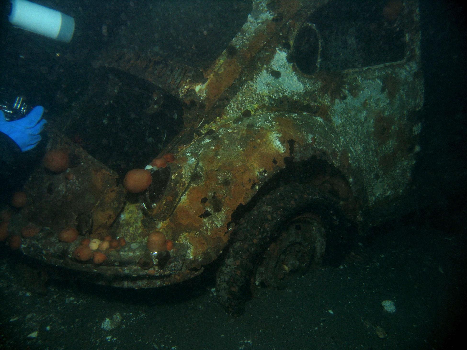 were is my car, bad place to park,  redondo beach puget sound