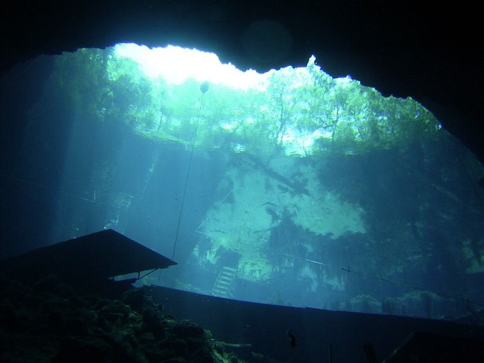 West_Palm_and_Blue_Grotto_2007_002