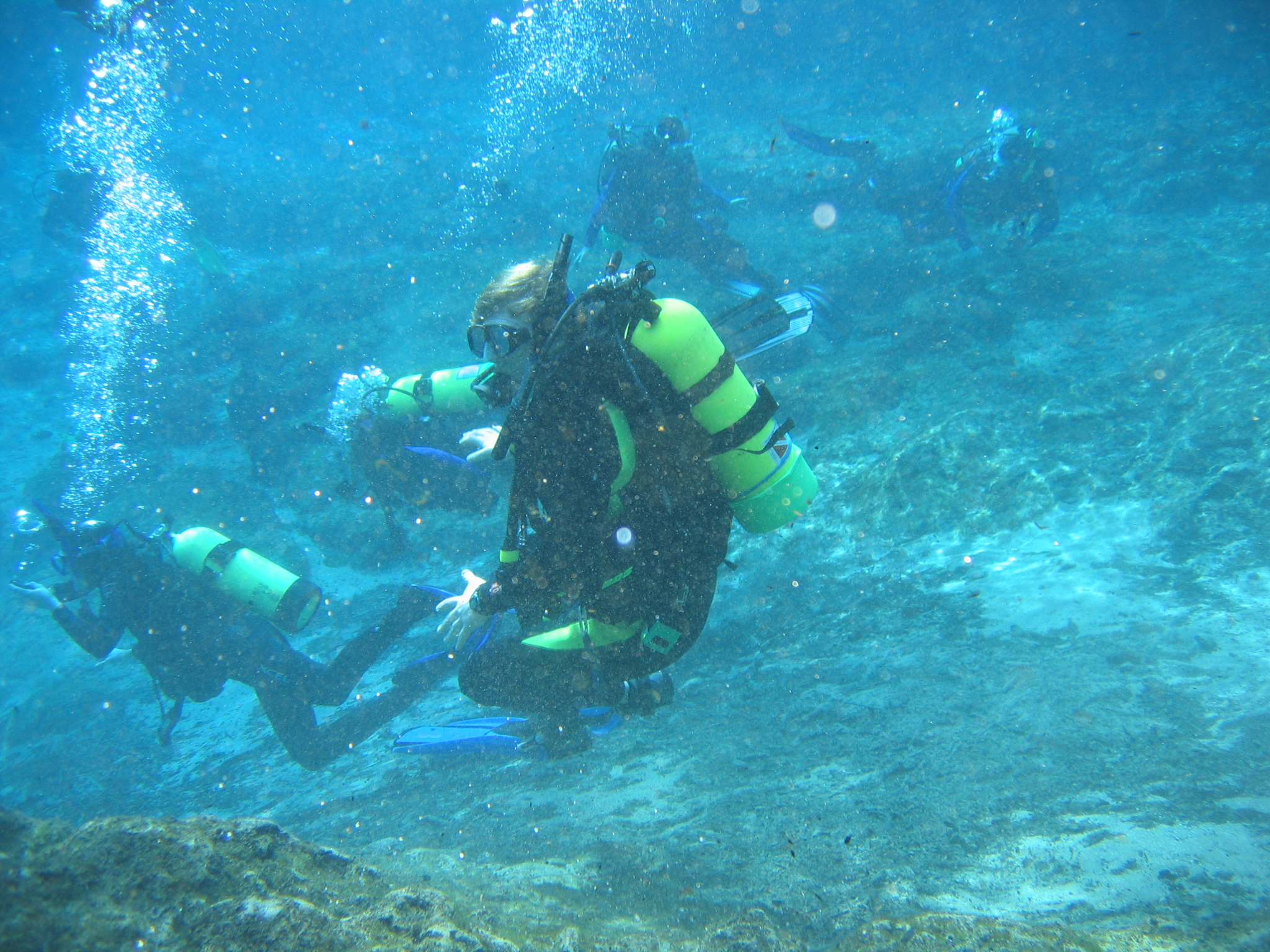 West_Palm_and_Blue_Grotto_2007_043