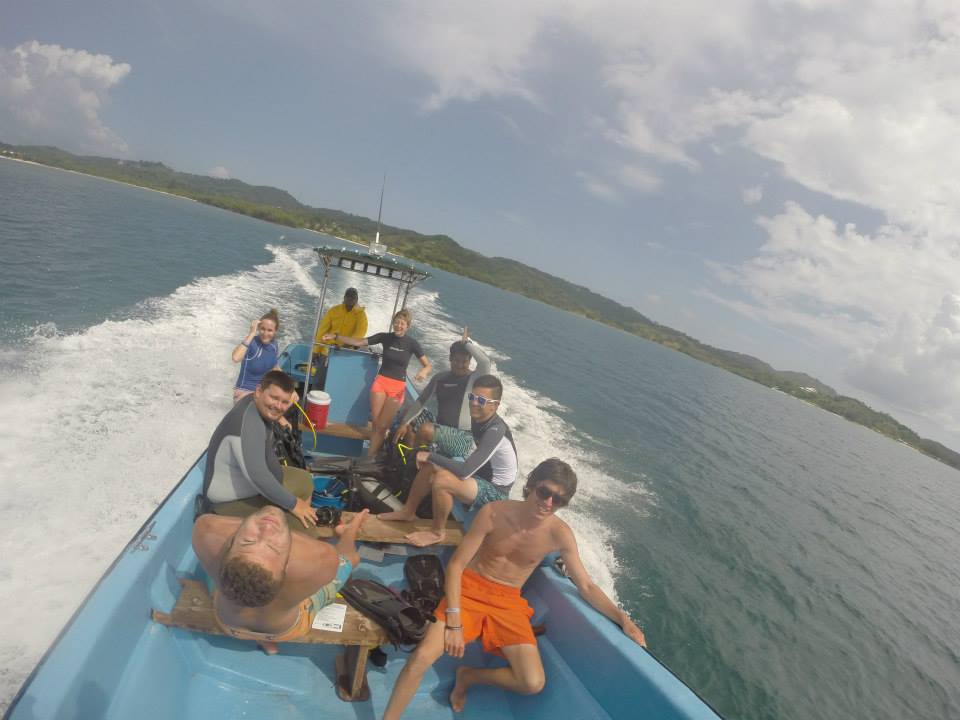 Whale Shark Search