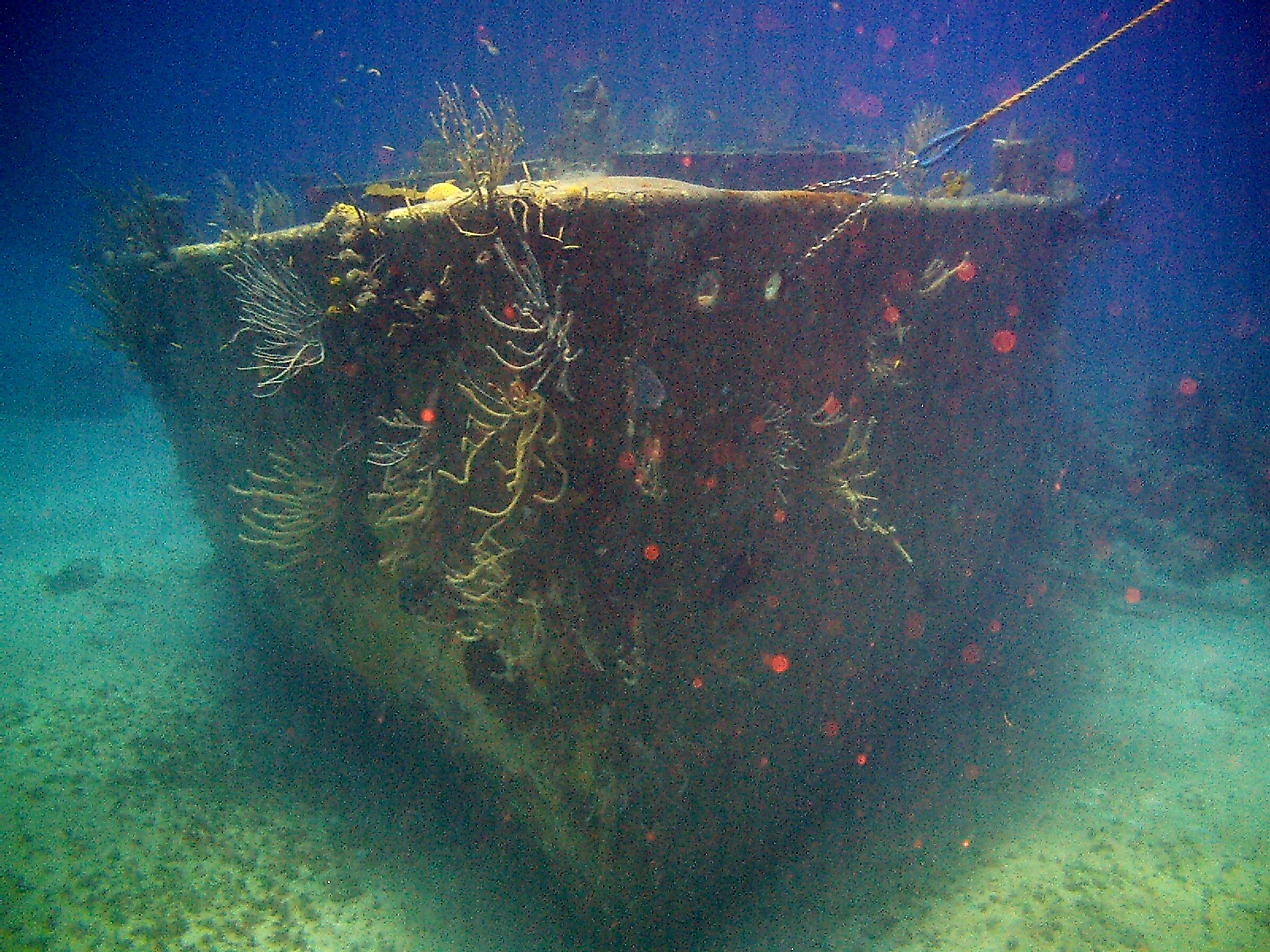 Willaurie Wreck, New Providence, The Bahamas