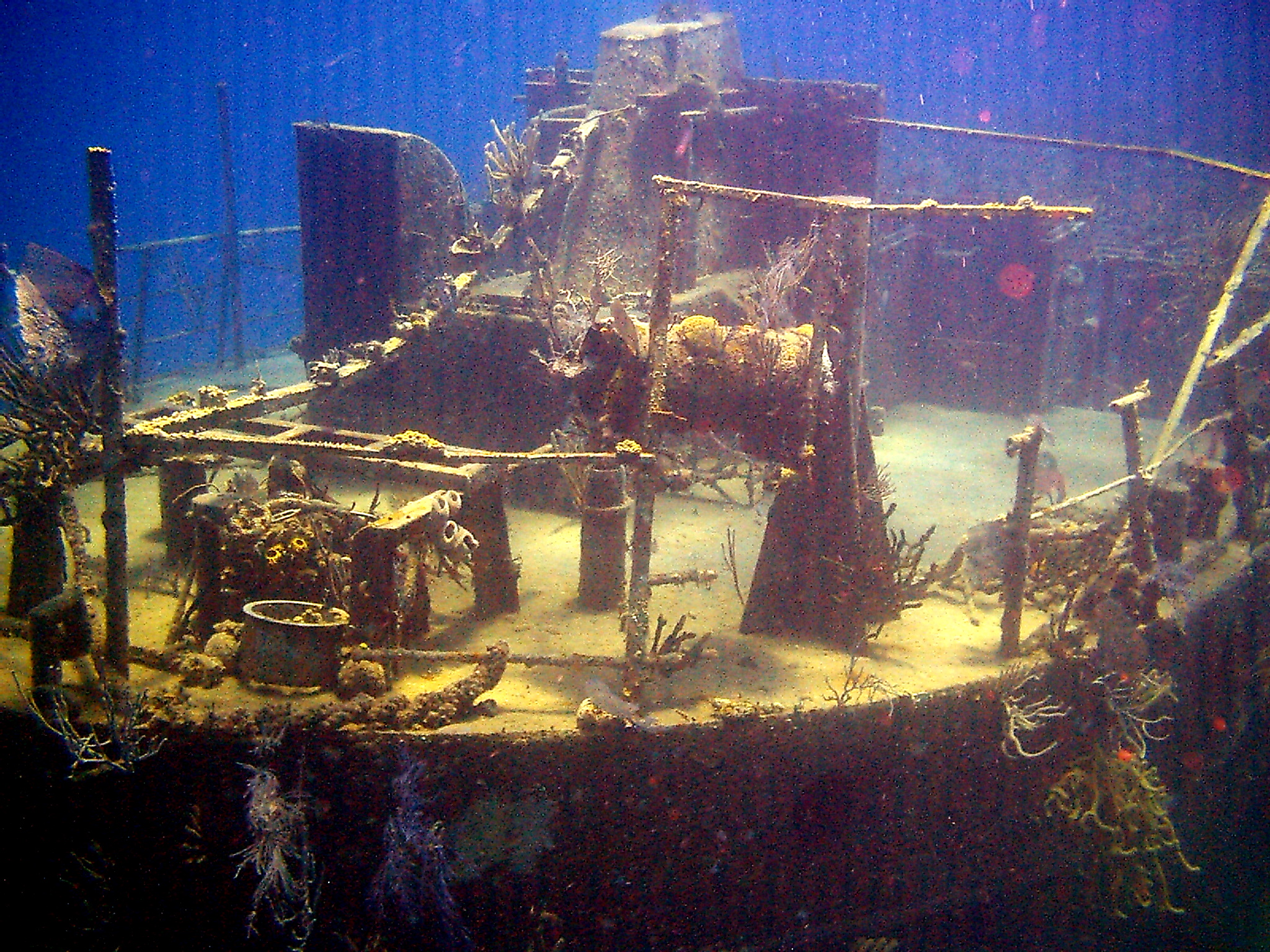 Willaurie Wreck, New Providence, The Bahamas