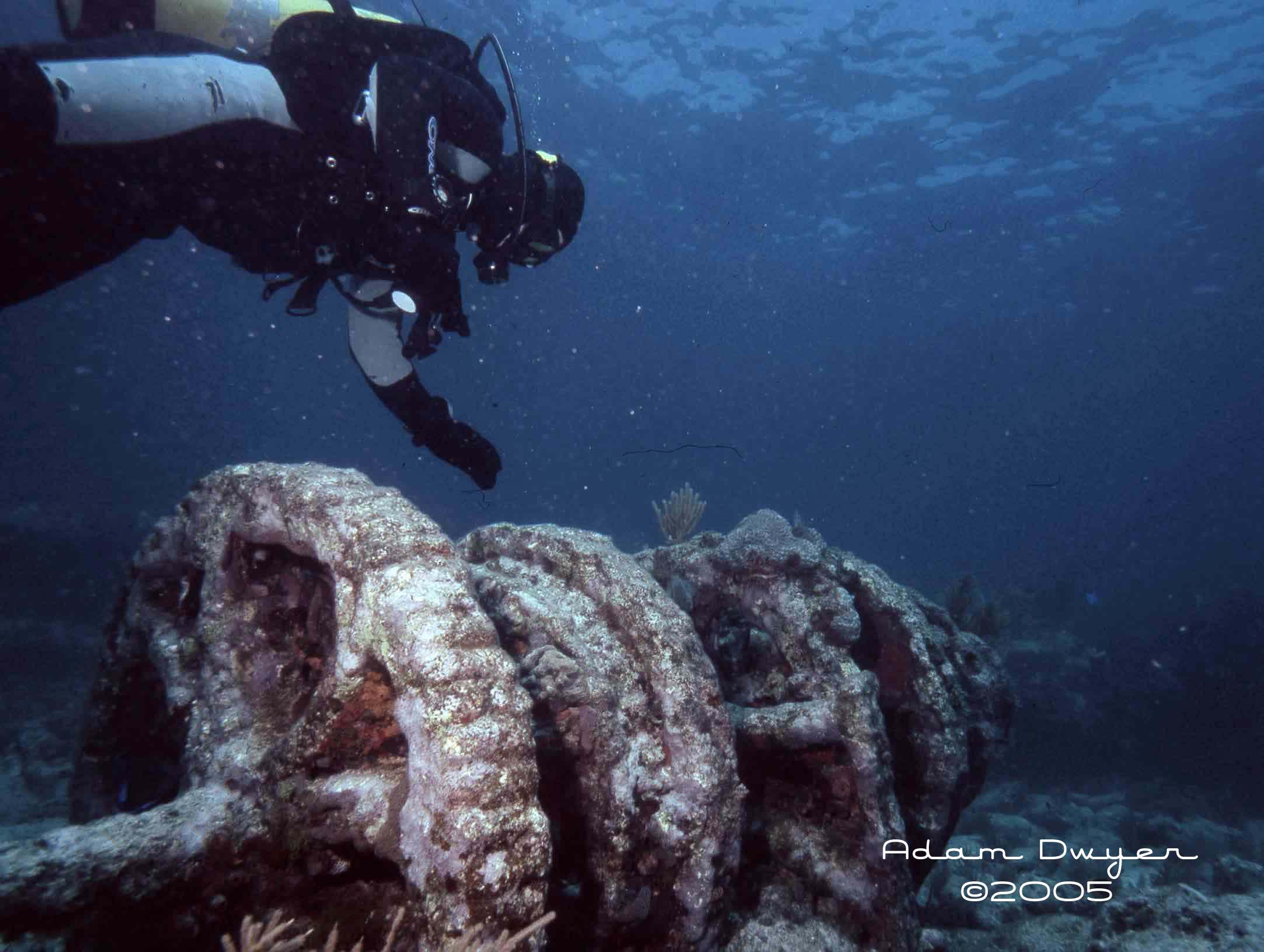 Winch and Diver in Key Largo