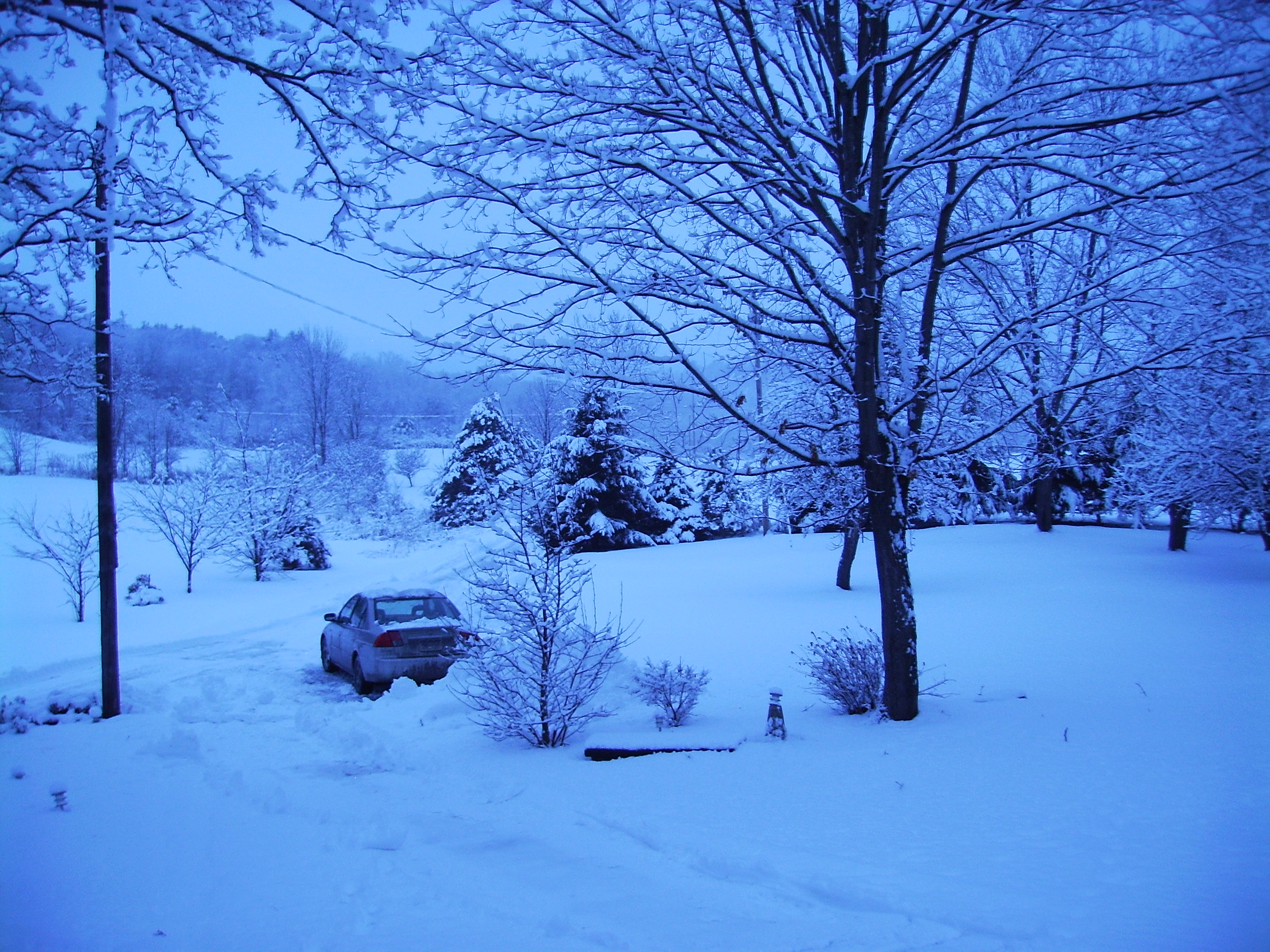 winter_001