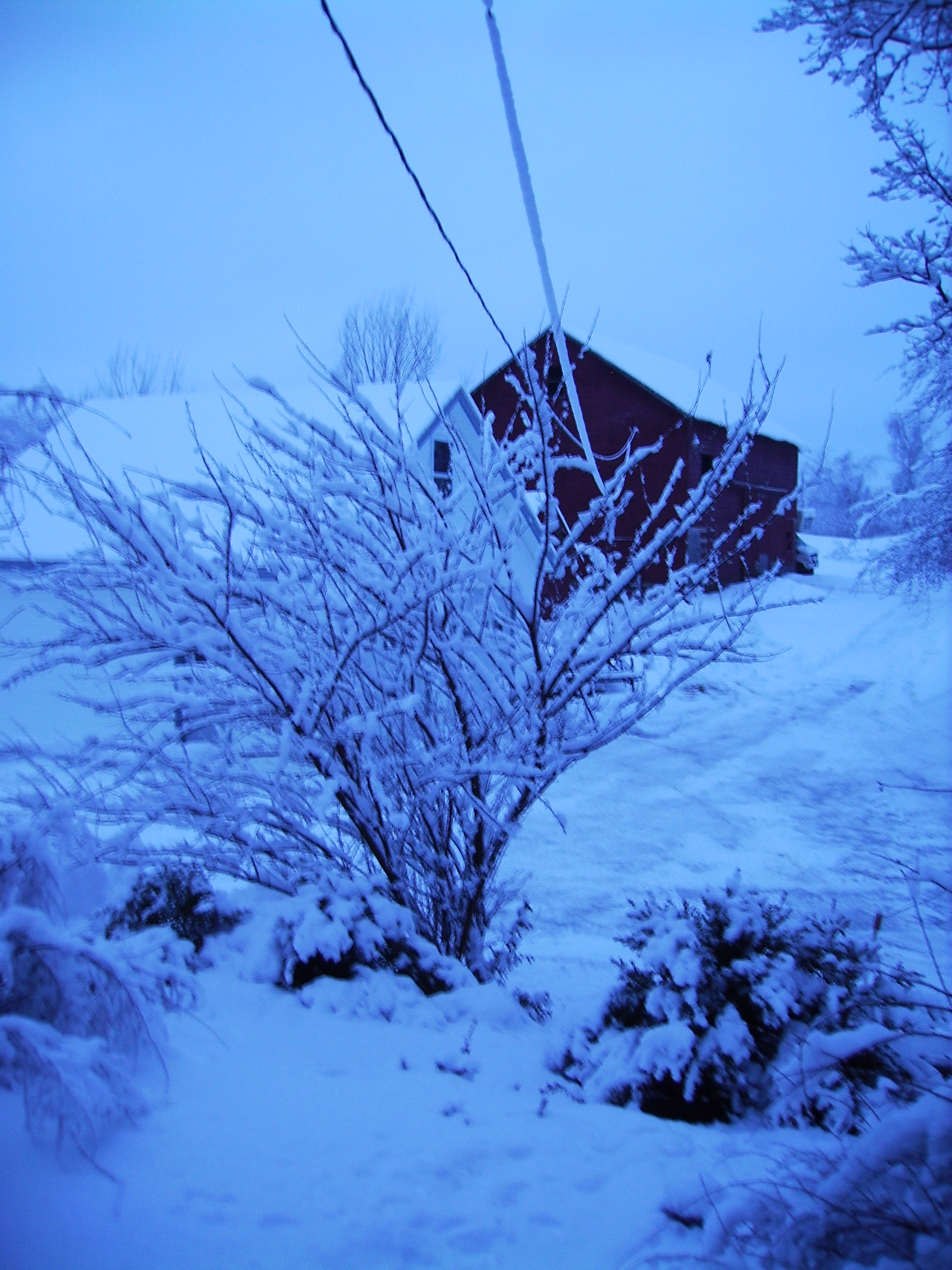 winter_002