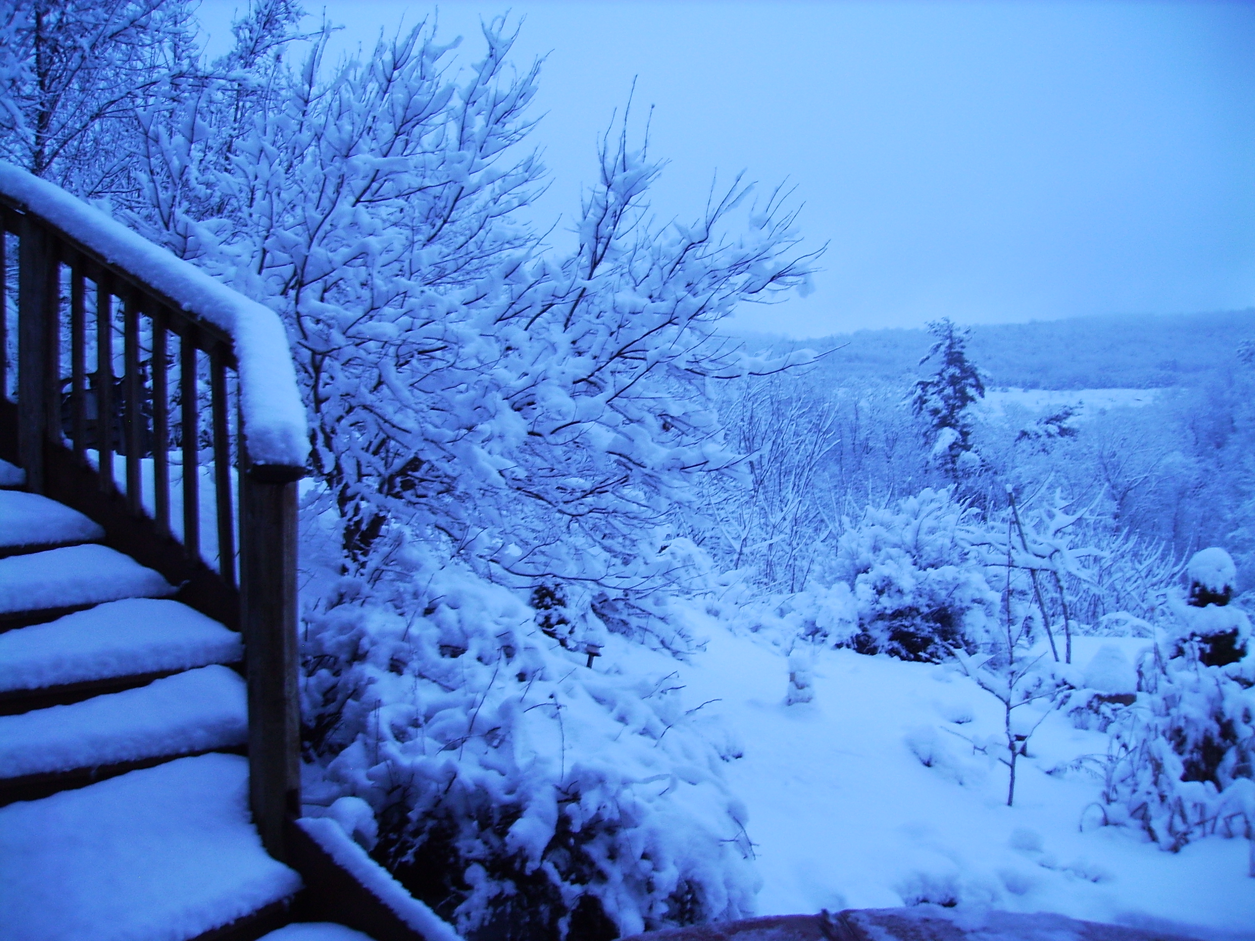 winter_003