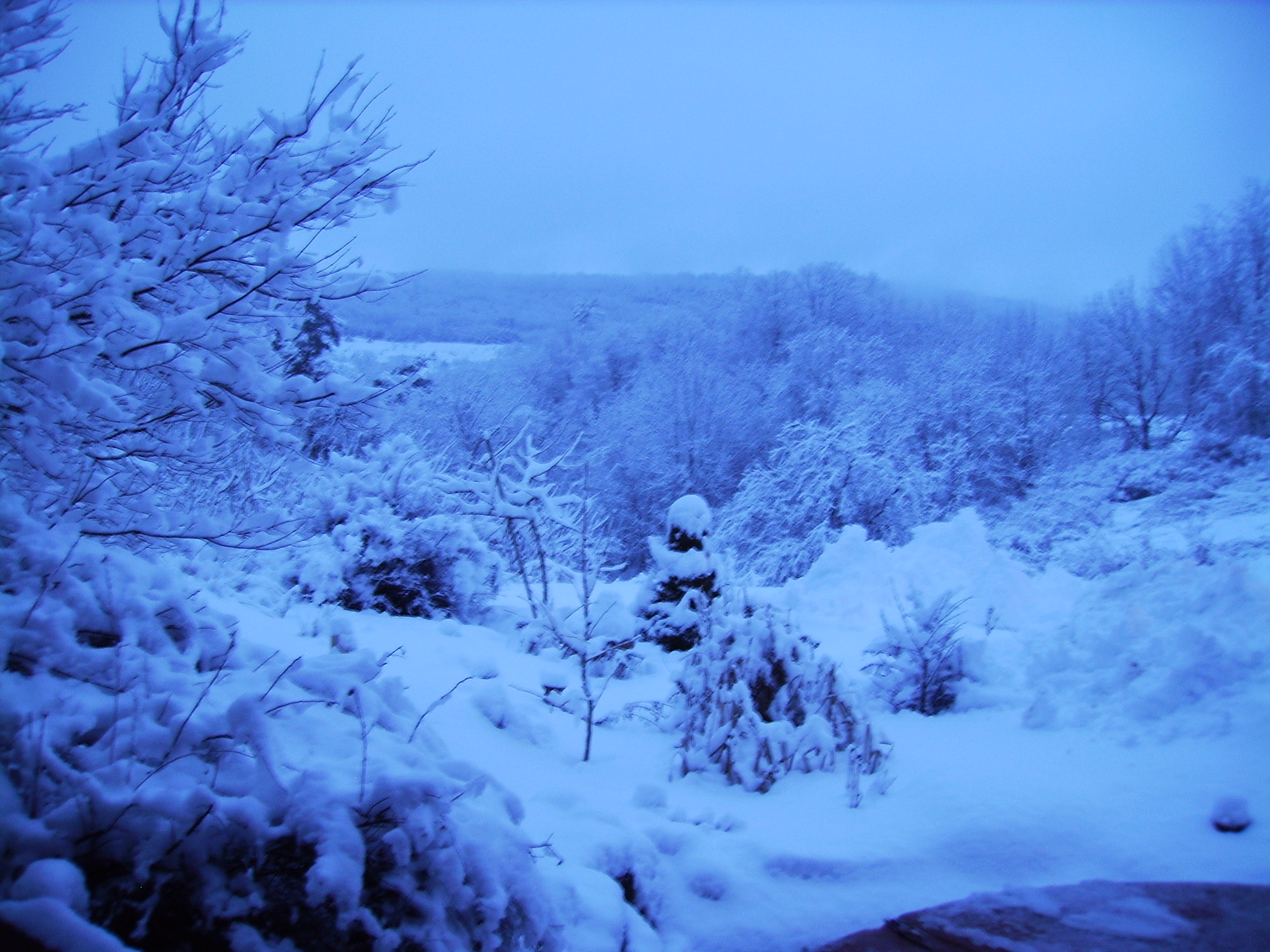 winter_004